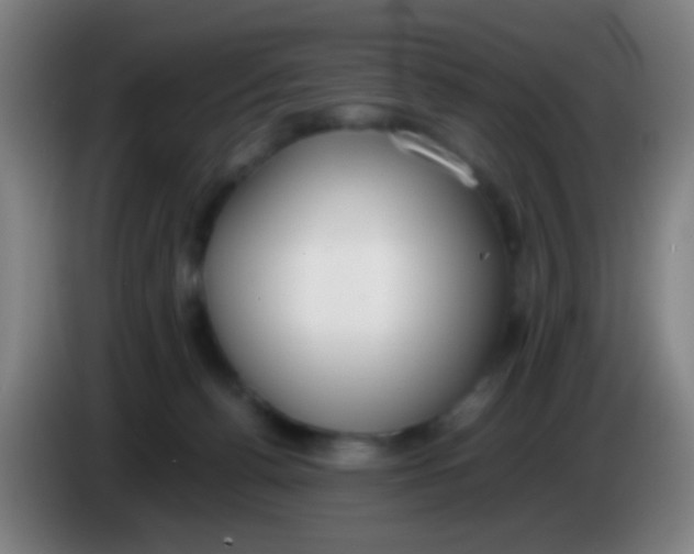 X0000085310176200703302030