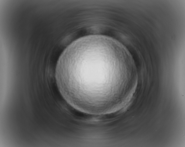 X0000085310178200703302030