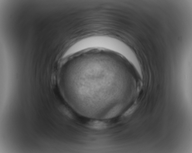 X0000085310180200703302030