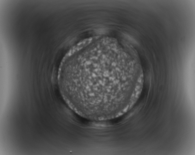 X0000085310181200703302030