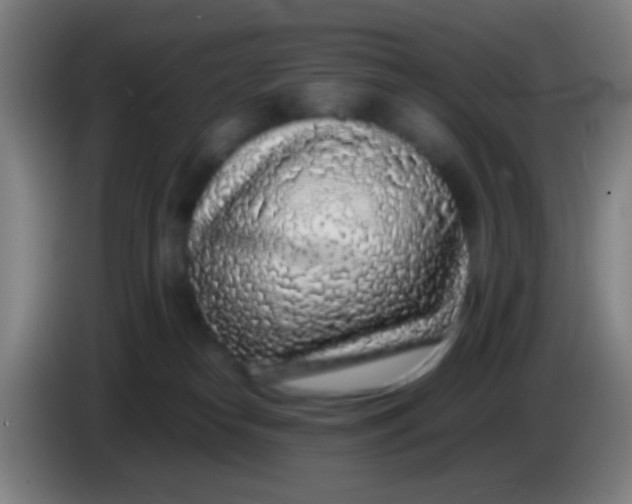 X0000085310182200703302030