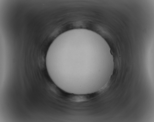 X0000085310183200703302030