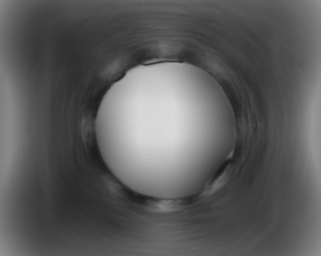 X0000085310184200703302030