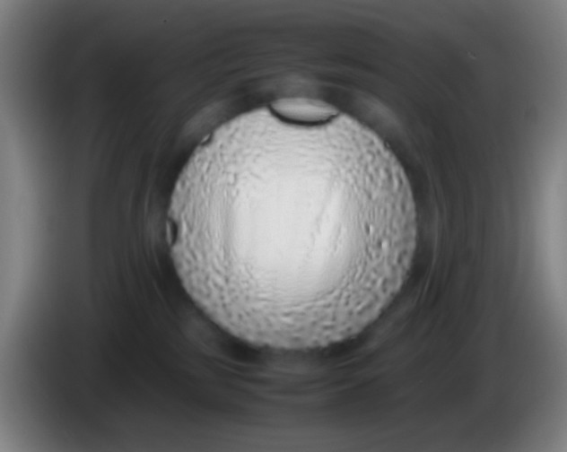 X0000085310185200703302030