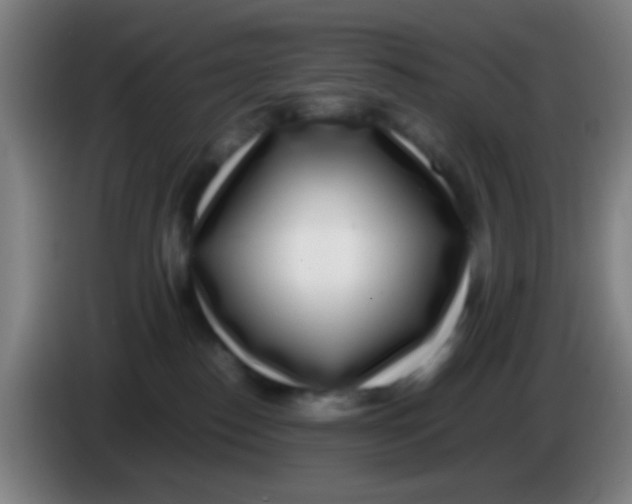 X0000085310186200703302030