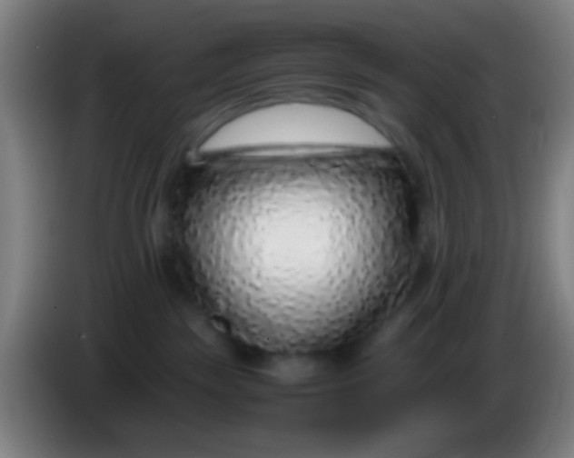 X0000085310189200703302030