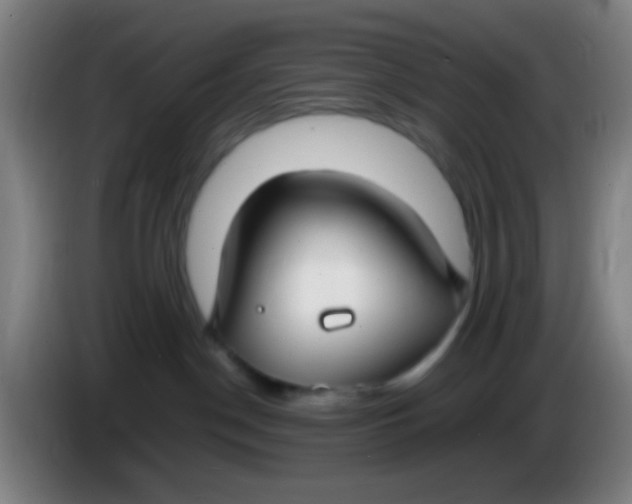 X0000085310190200703302030