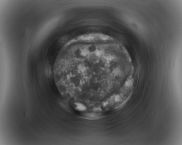 X0000085310191200703302030