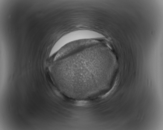 X0000085310192200703302030