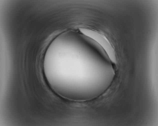 X0000085310193200703302030