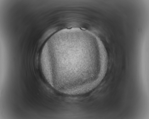 X0000085310194200703302030