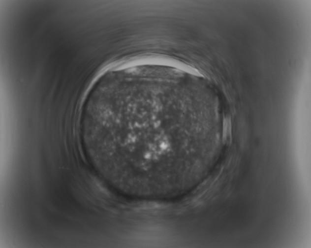 X0000085310195200703302030