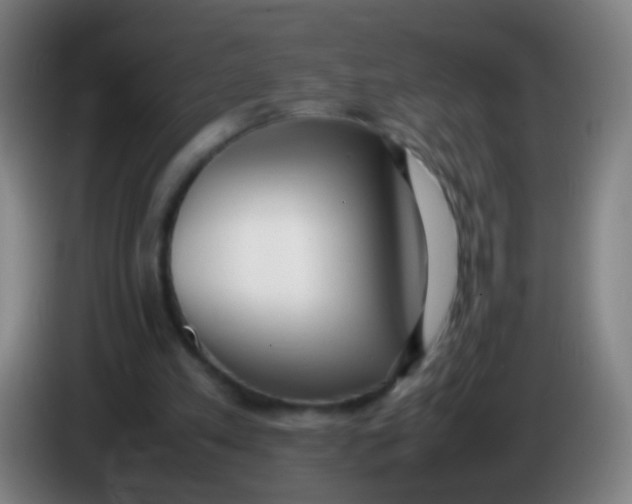 X0000085310197200703302030