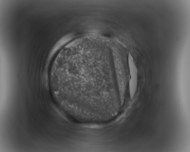 X0000085310198200703302030