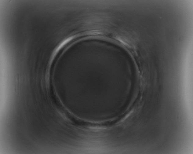 X0000085310200200703302030