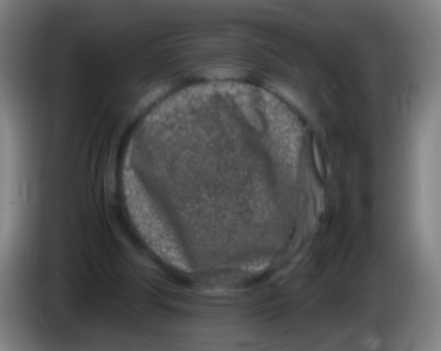 X0000085310202200703302030