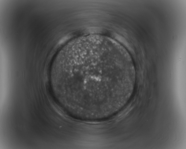 X0000085310203200703302030