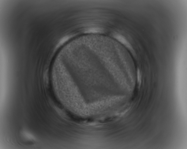 X0000085310204200703302030