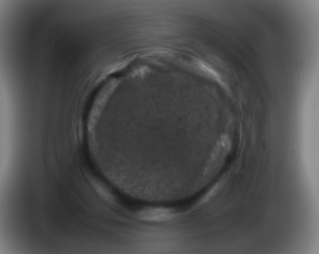 X0000085310205200703302030