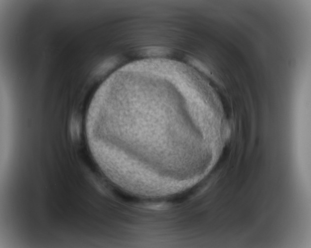 X0000085310206200703302030