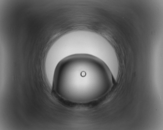 X0000085310207200703302030