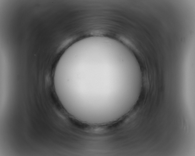 X0000085310208200703302030