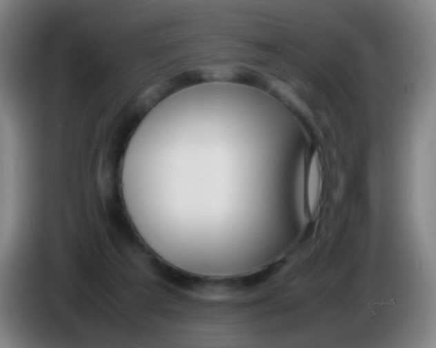 X0000085310209200703302030