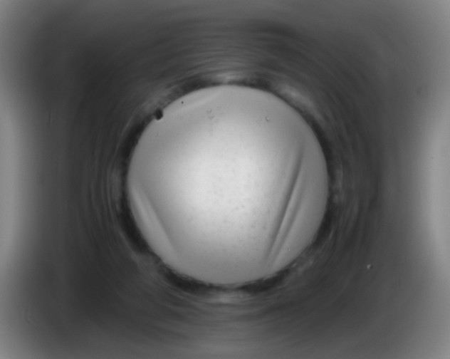 X0000085310210200703302030