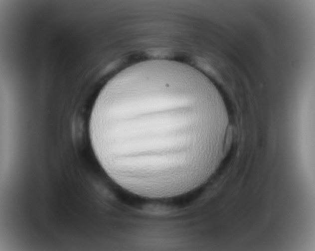 X0000085310211200703302030