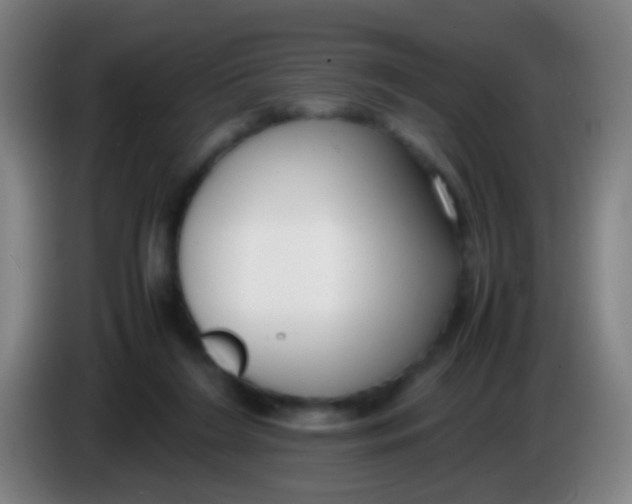 X0000085310212200703302030