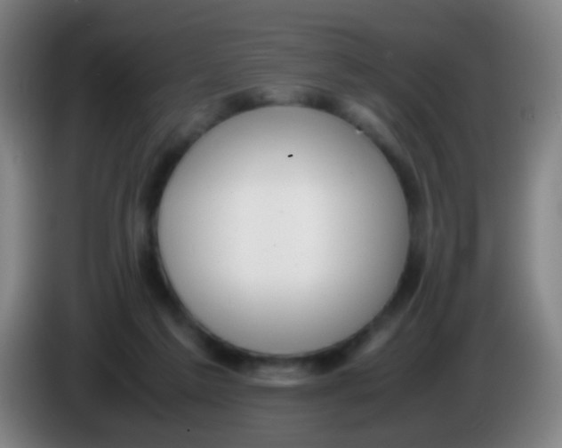 X0000085310213200703302030