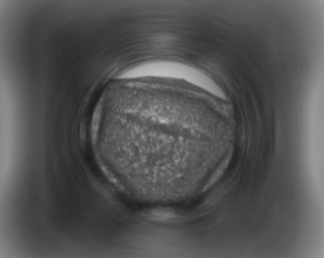 X0000085310214200703302030