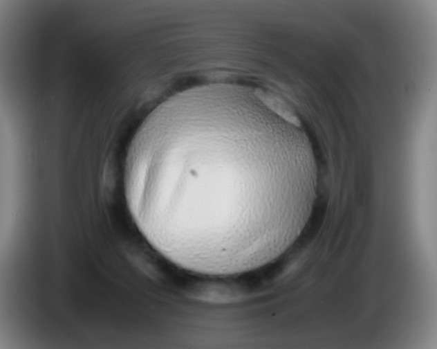 X0000085310215200703302030