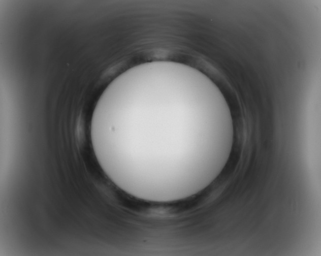 X0000085310216200703302029