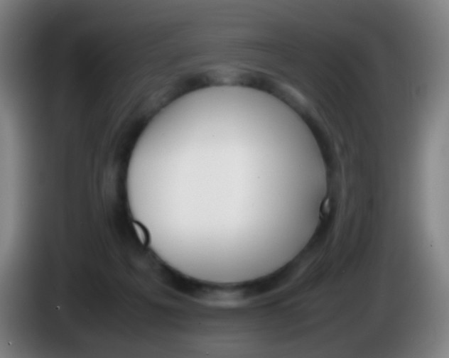 X0000085310217200703302029