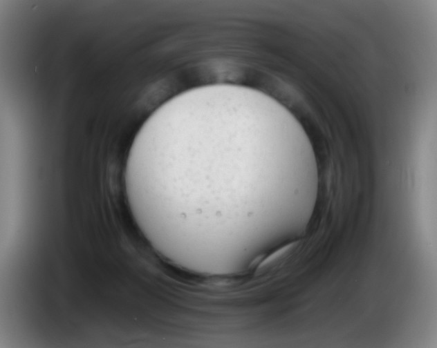 X0000085310218200703302029