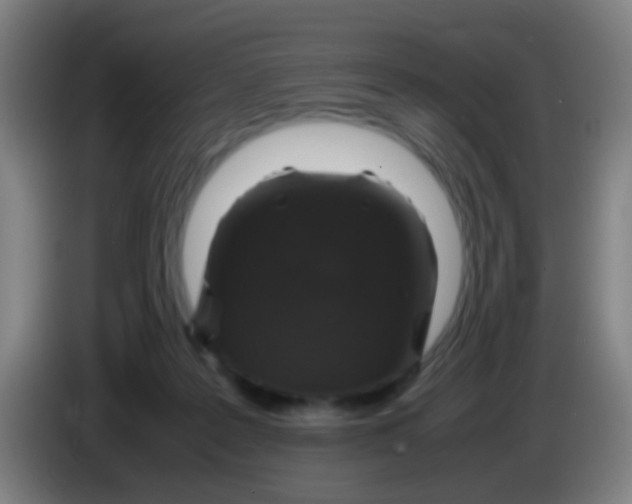 X0000085310219200703302029