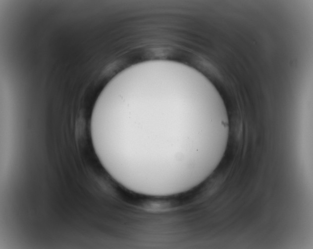 X0000085310220200703302029