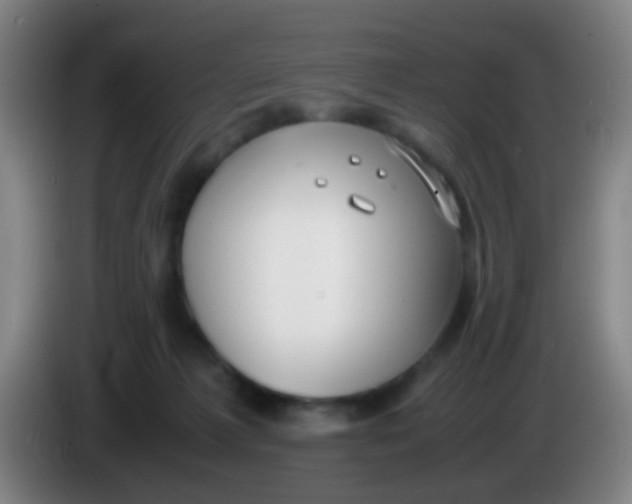 X0000085310221200703302029