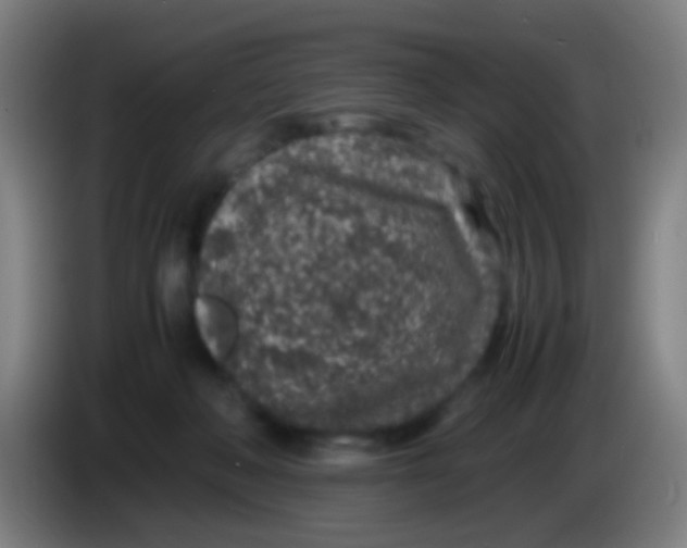 X0000085310222200703302029