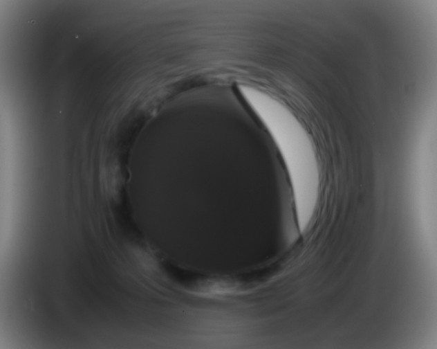 X0000085310223200703302029