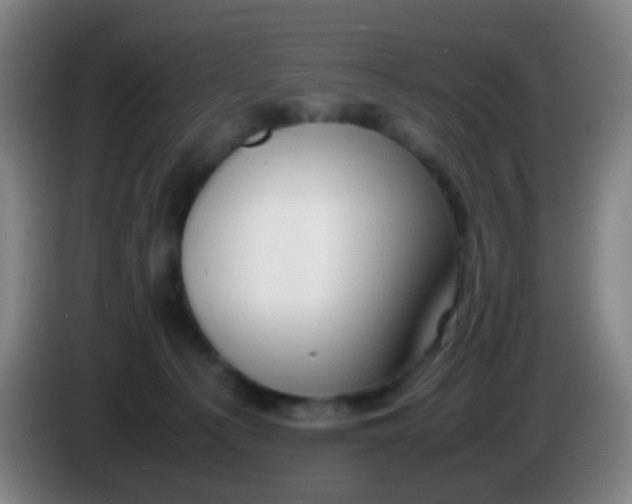 X0000085310225200703302029