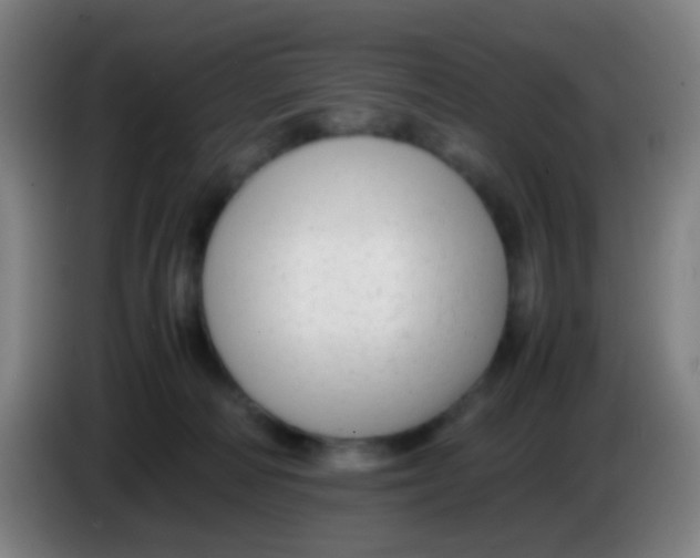 X0000085310226200703302029