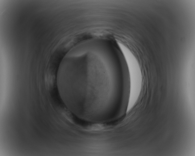 X0000085310227200703302029