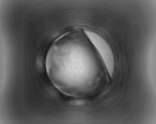 X0000085310228200703302029