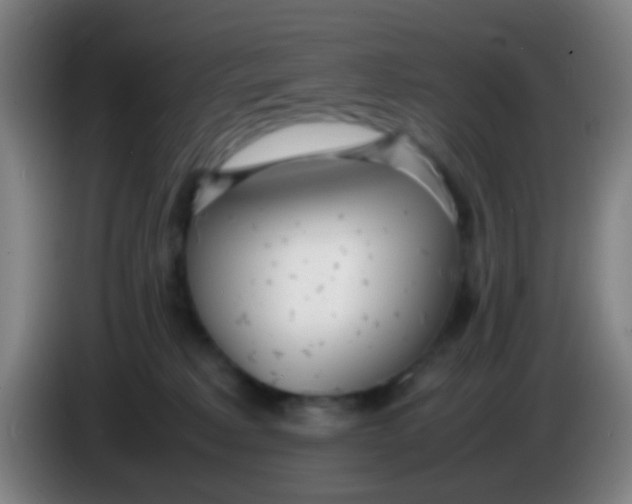 X0000085310229200703302029