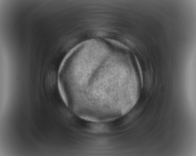 X0000085310230200703302029