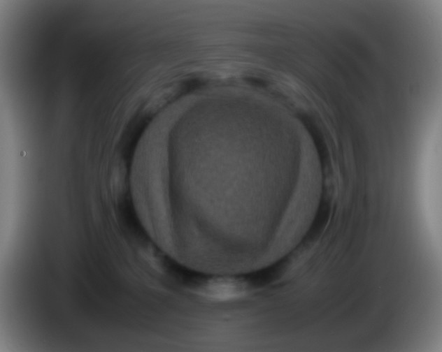 X0000085310231200703302029