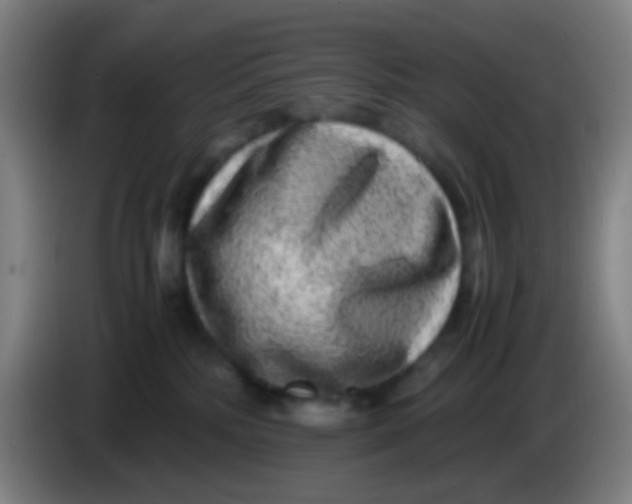 X0000085310232200703302029