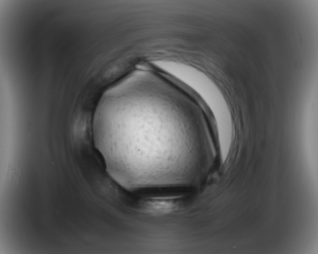 X0000085310233200703302029